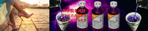 дмт Елизово
