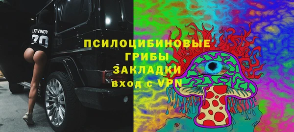 круглые Ельня