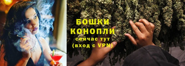 дмт Елизово