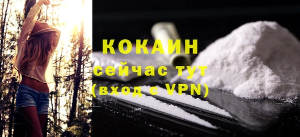 дмт Елизово