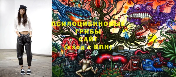 круглые Ельня