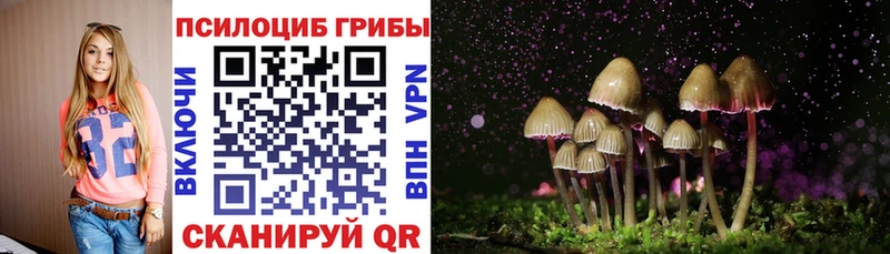 Галлюциногенные грибы Psilocybine cubensis Лукоянов
