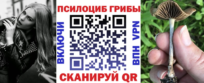 Псилоцибиновые грибы MAGIC MUSHROOMS  Купить  Лукоянов 
